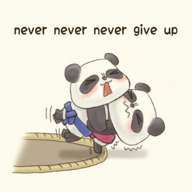 never never never give up