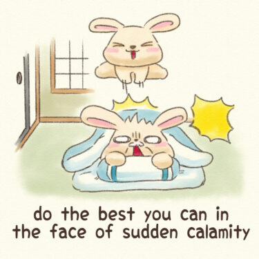 do the best you can in the face of sudden calamity